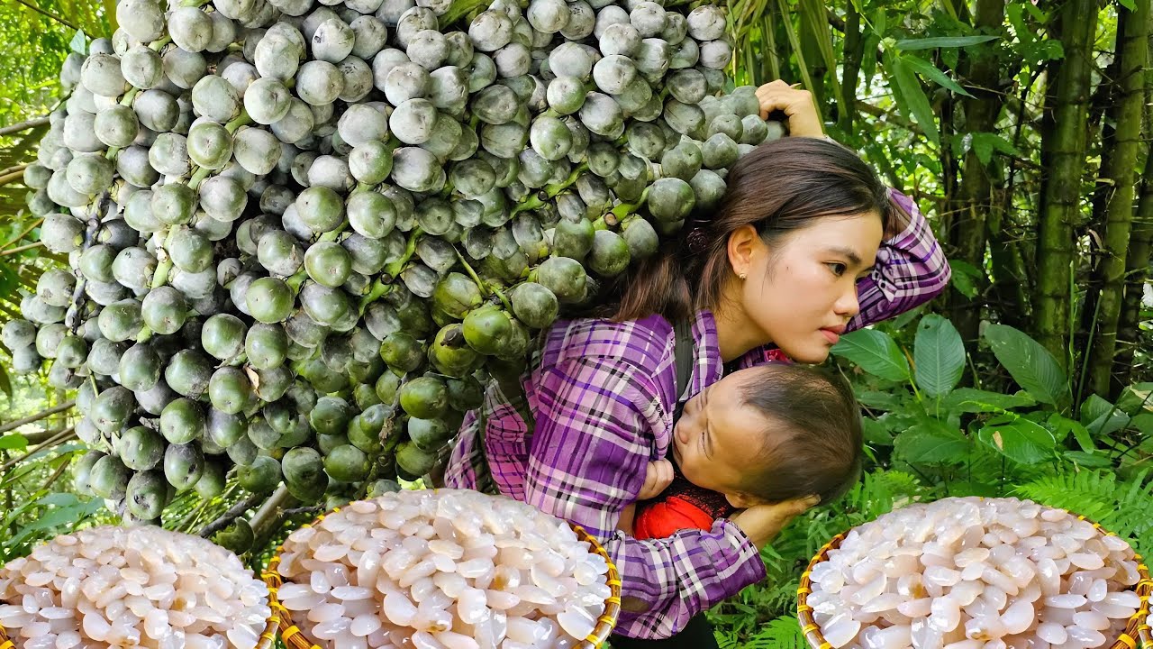 Rose Myrtle Season: How to Harvest and Sell Seeds at the Market - Cooking  | Trieu Thi Thuy