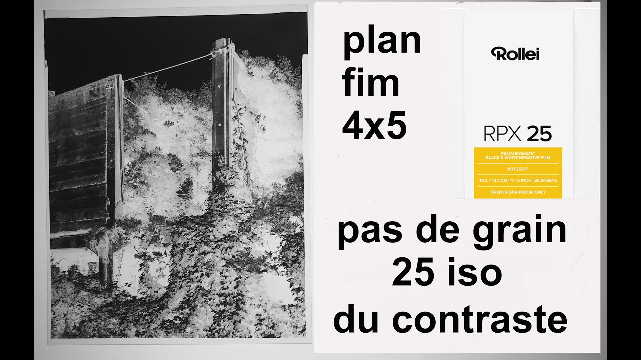 ROLLEI RPX25 en plan film 4x5