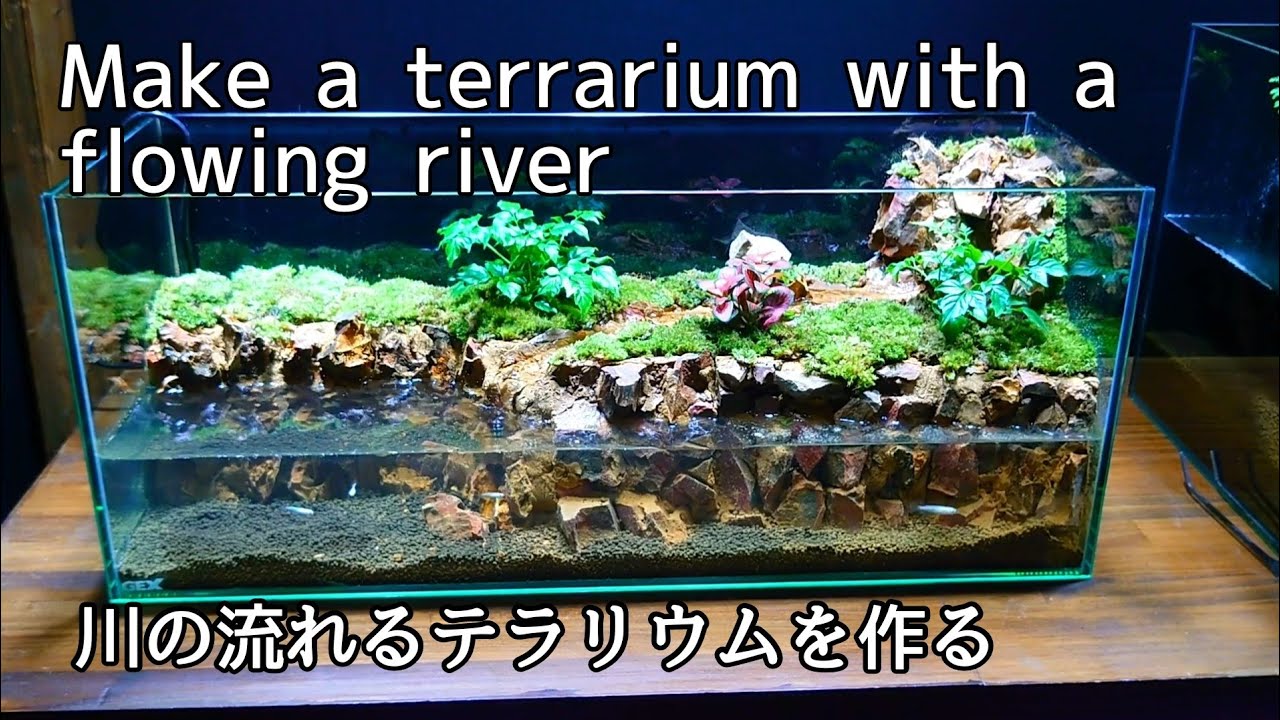 60センチ水槽で川と滝の流れるアクアテラリウムを作る【part57】Make a terrarium with a flowing river テラリウム 滝を作る