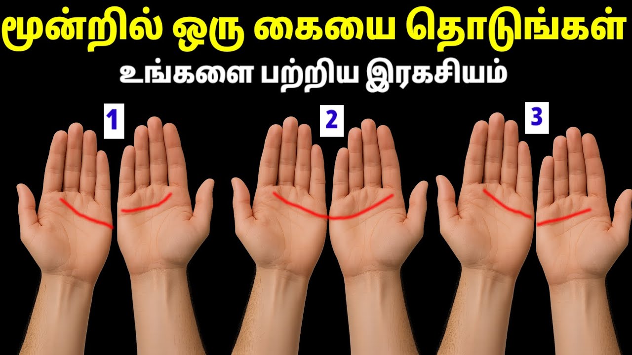 மூன்றில் ஒன்றை தொடுங்கள்!! கைரேகை பலன்கள் | Palmistry Benefits | Simian Palmistry Palan In Tamil
