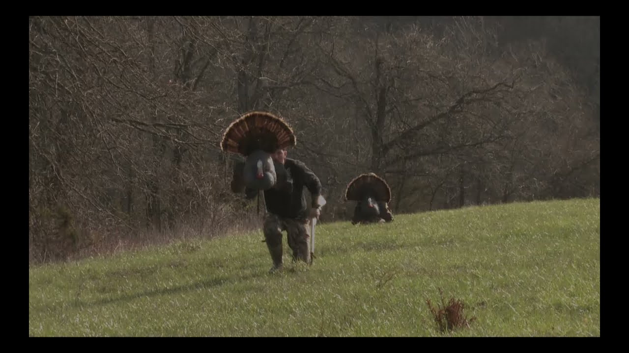 GAME CHANGER for Turkey Hunting [ MOJO Scoot & Shoot ]