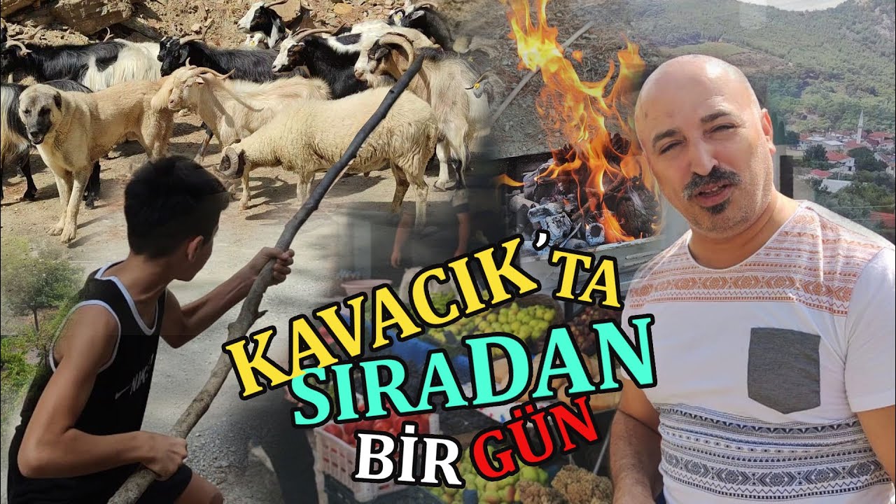 Kavacık Köyünde Sıradan Bir Gün