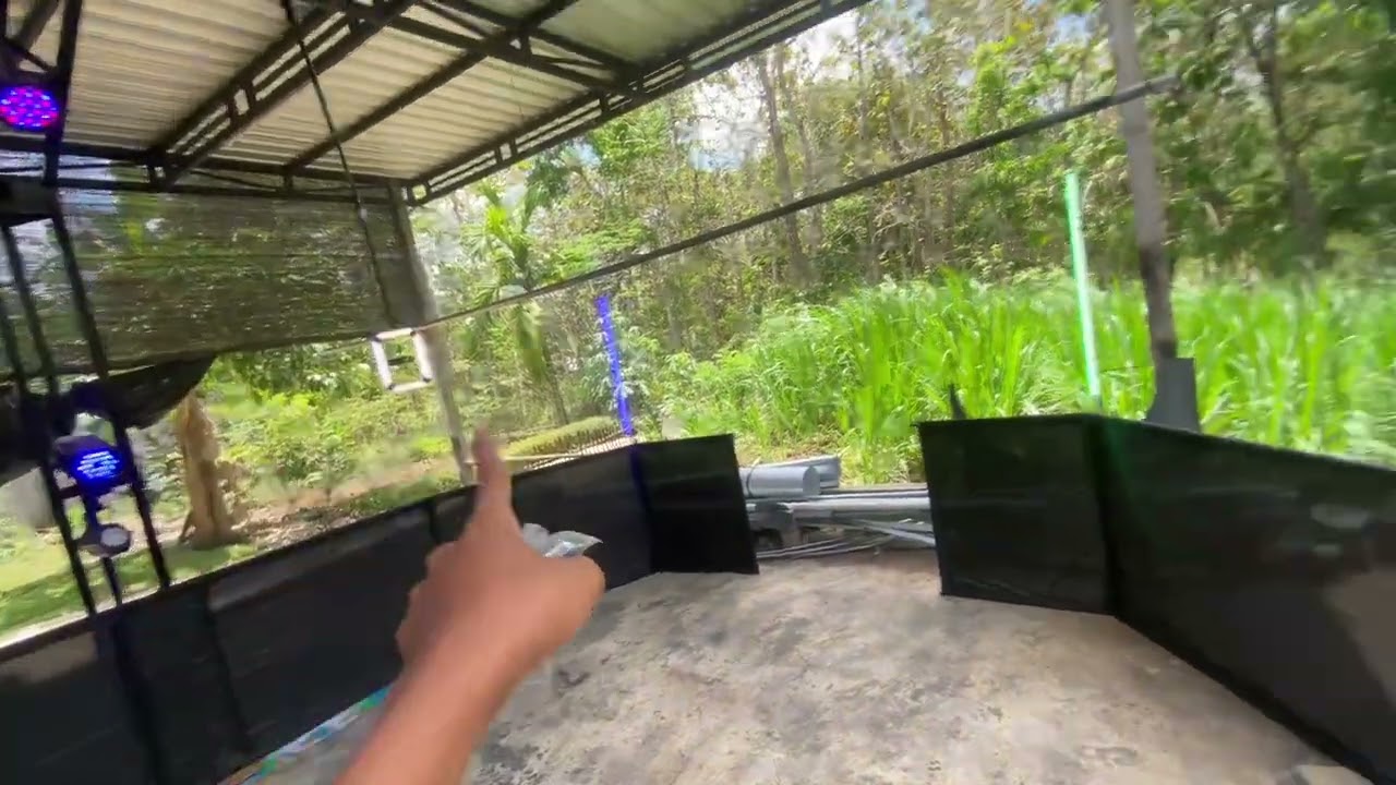 Overhead 360