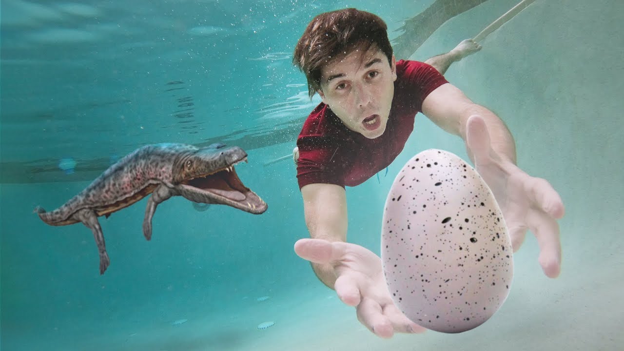 TEM DINOSSAUROS NA MINHA PISCINA 🦕🦖
