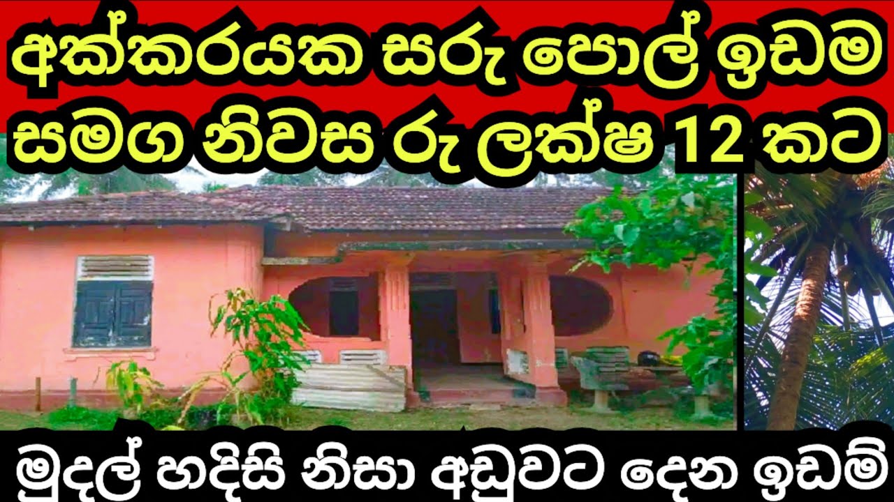 නිවස සමග අක්කරයක පොල් ඉඩම ලක්ෂ 12 කට | Pol idam | Coconut land | Aduwata idam | House for sale