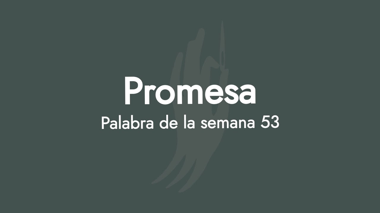 Respiración Bordada Semana 53 - 