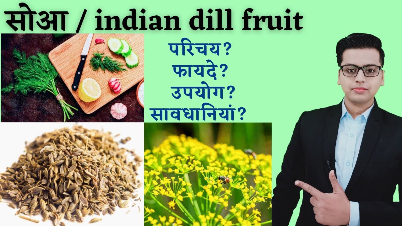 सोआ के फायदे | indian dill seed | anethum graveolens seed | benefits of dill leaves #ayurveda #herbs