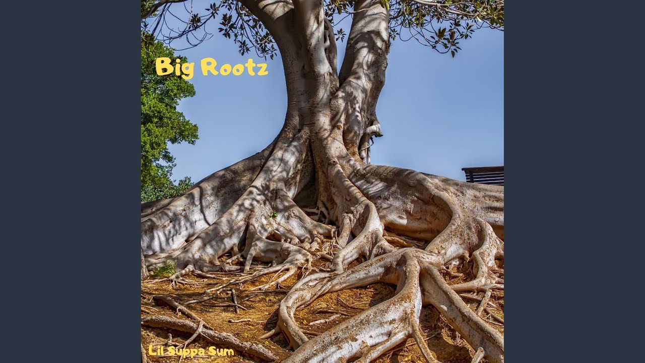 Big Rootz