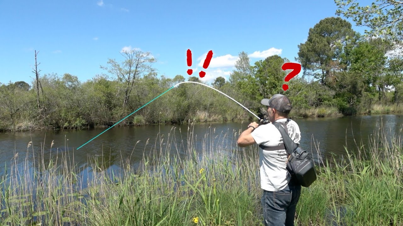 Ce BIG BROCHET a ATTAQUÉ mon LEURRE avec une VIOLENCE RARE ! pour l'OUVERTURE du BROCHET ? #brochet