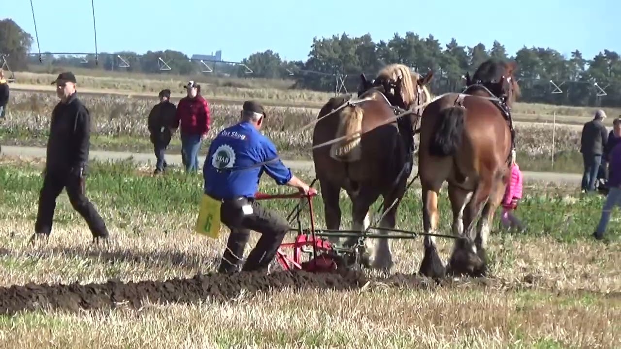 Plöjnings SM 2024