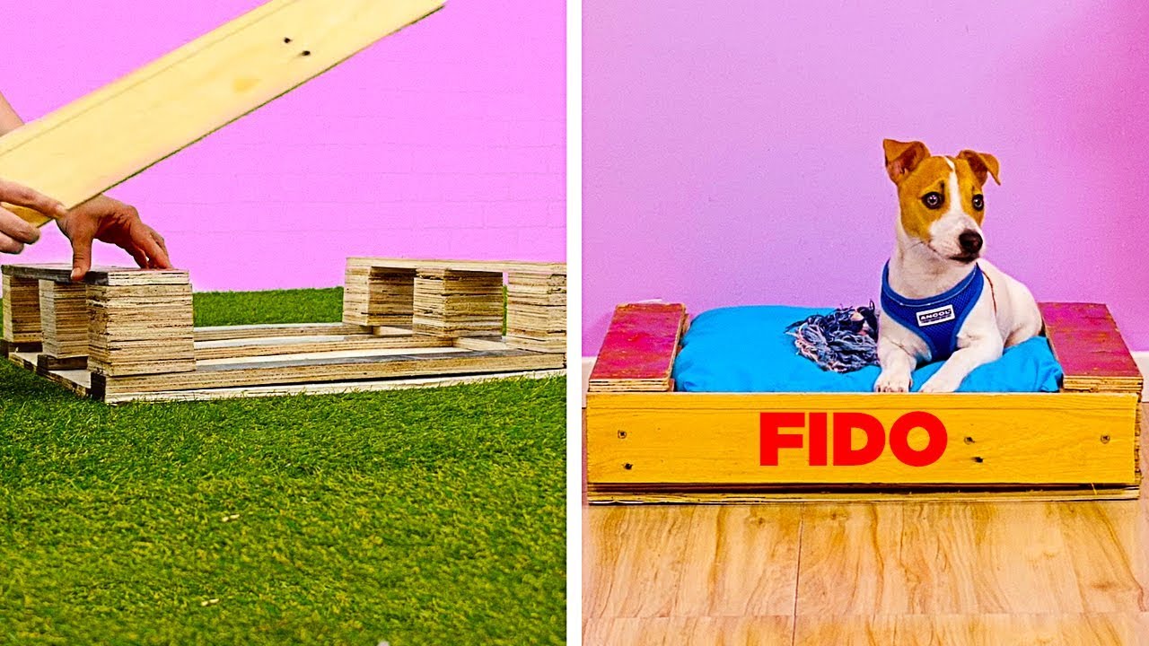 19 ARTESANÍAS DULCES PARA DEMOSTRARLES TU AMOR A TUS MASCOTAS