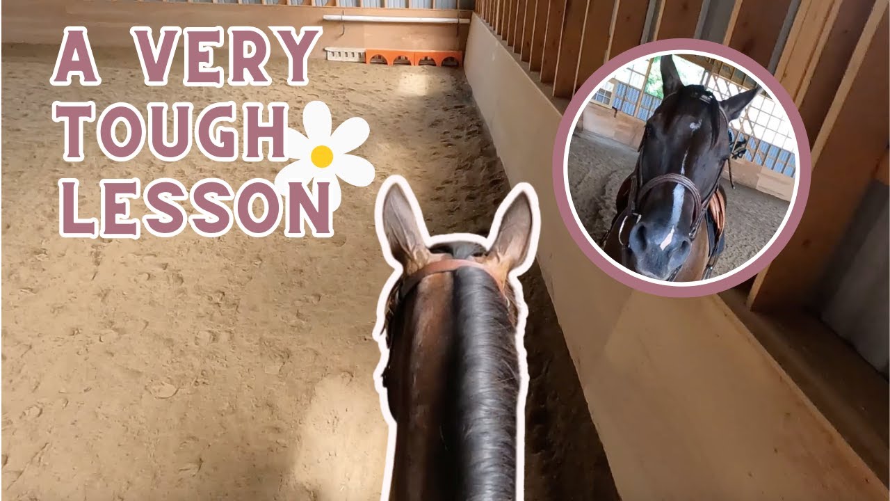 GETTING MY CONFIDENCE BACK IN CANTER | GOPRO RIDING LESSON
