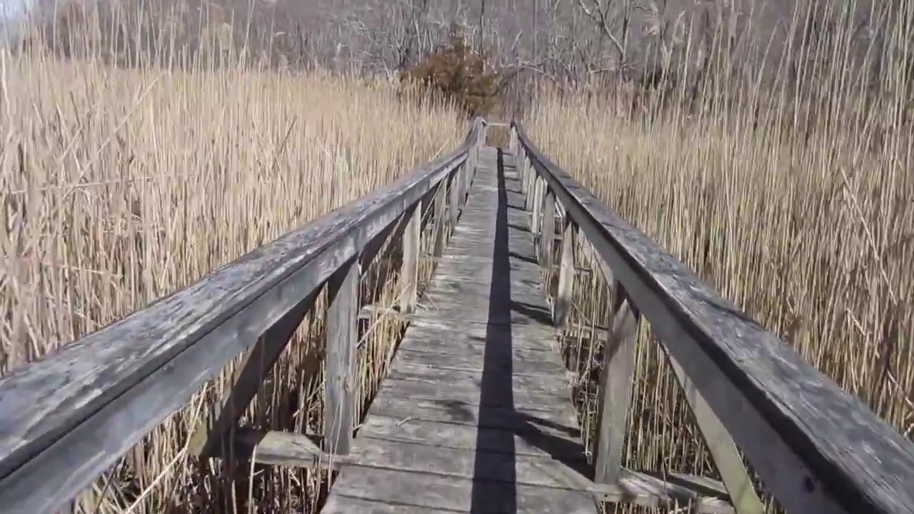 Paumanok Path day 3, quitting day