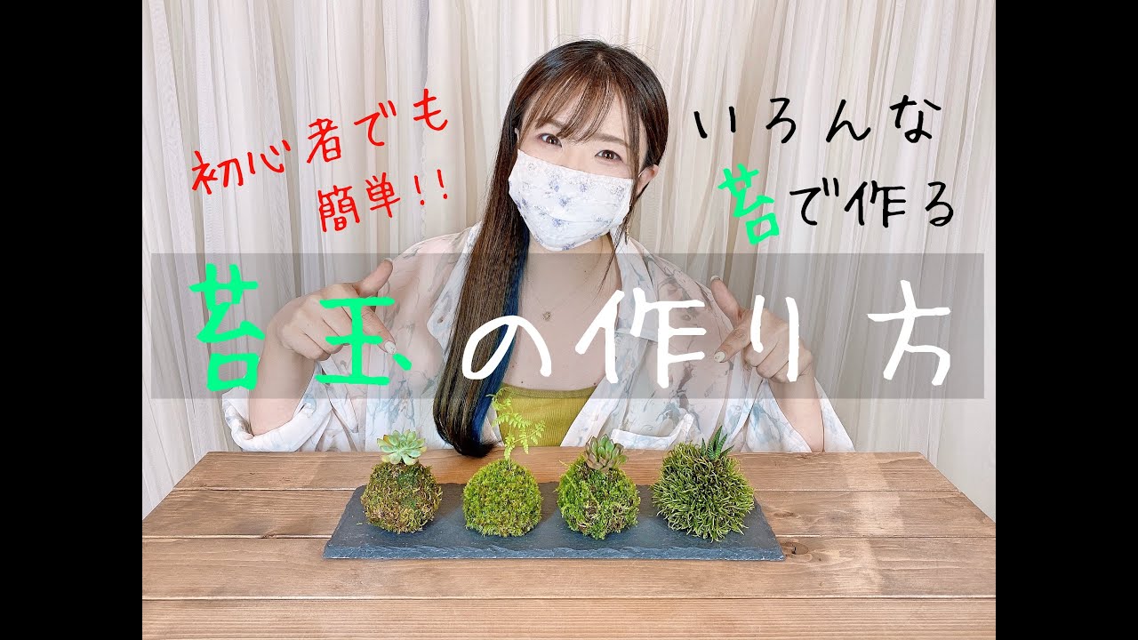 初心者でも簡単！いろんな種類の苔で作る苔玉の作り方