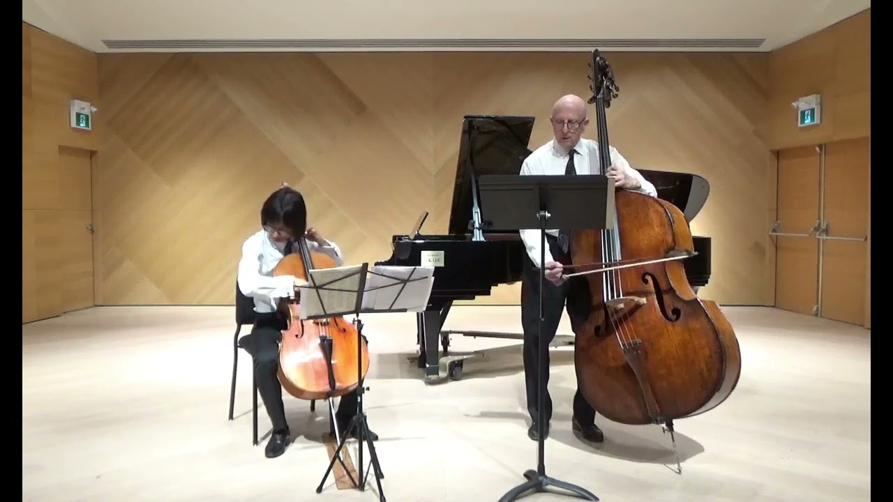 Rossini: Duetto in D major for Cello and Bass, 3rd movement (Allegro)