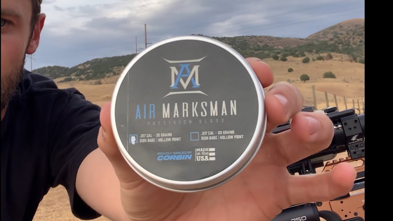 240 yards | Air Marksman Precision Slugs | 33g .217 | FX Impact M4 