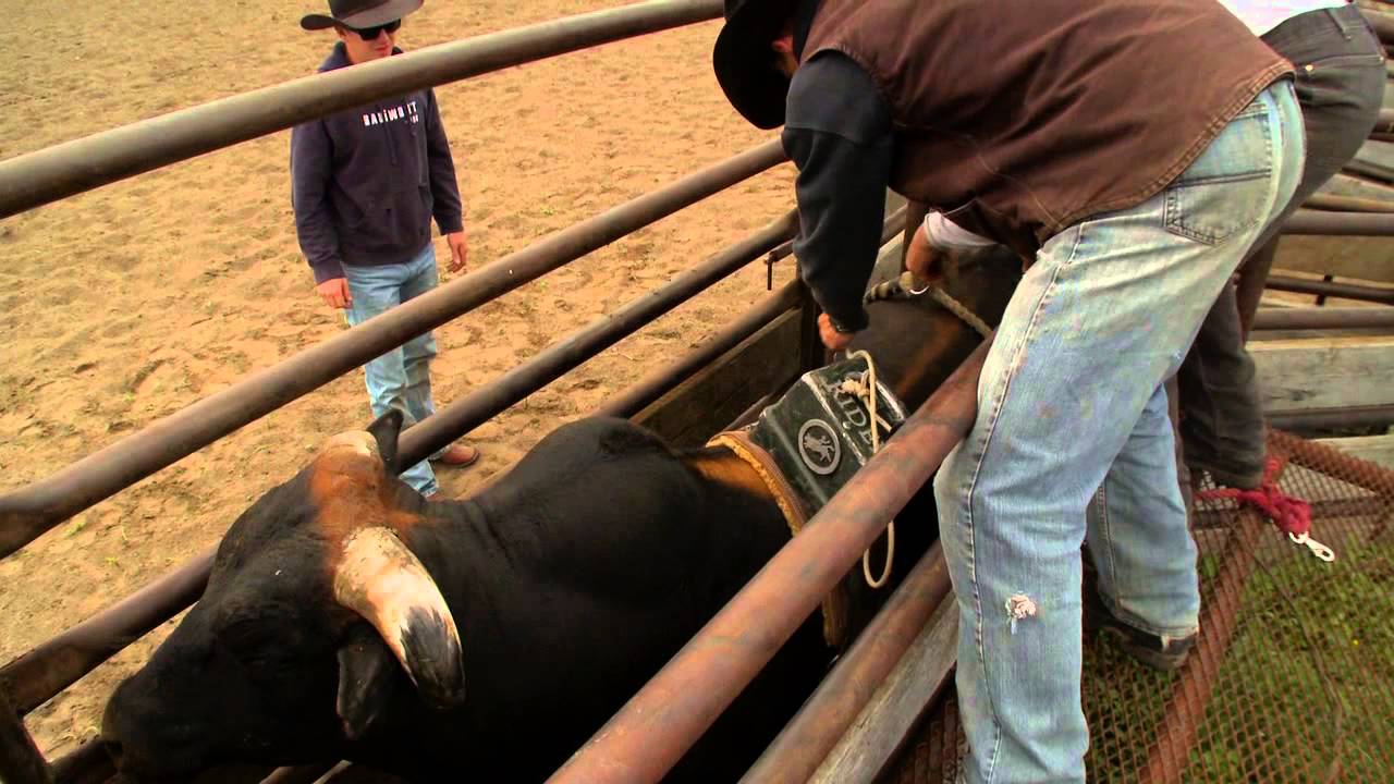 Train a Bull to Buck - Hell on Hooves: Season 4