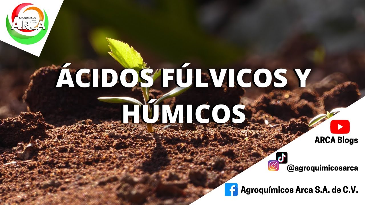 APRENDAMOS JUNTOS SOBRE LOS ÁCIDOS FÚLVICOS Y HÚMICOS