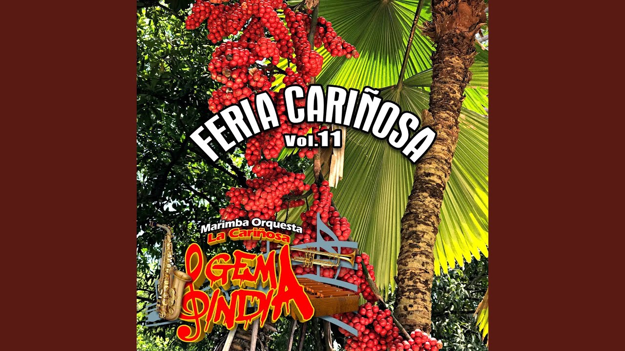 Mix de Gaytas 2: Sacañeco / Por un Caminito / El Lechero / Y Como Quieres Que Te Quiera