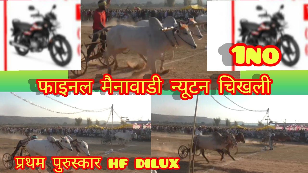 फाईनल माहा मुकाबला मैनावाडी परासिया जिला छिंदवाड़ा 12/3/2026 hf dulex 