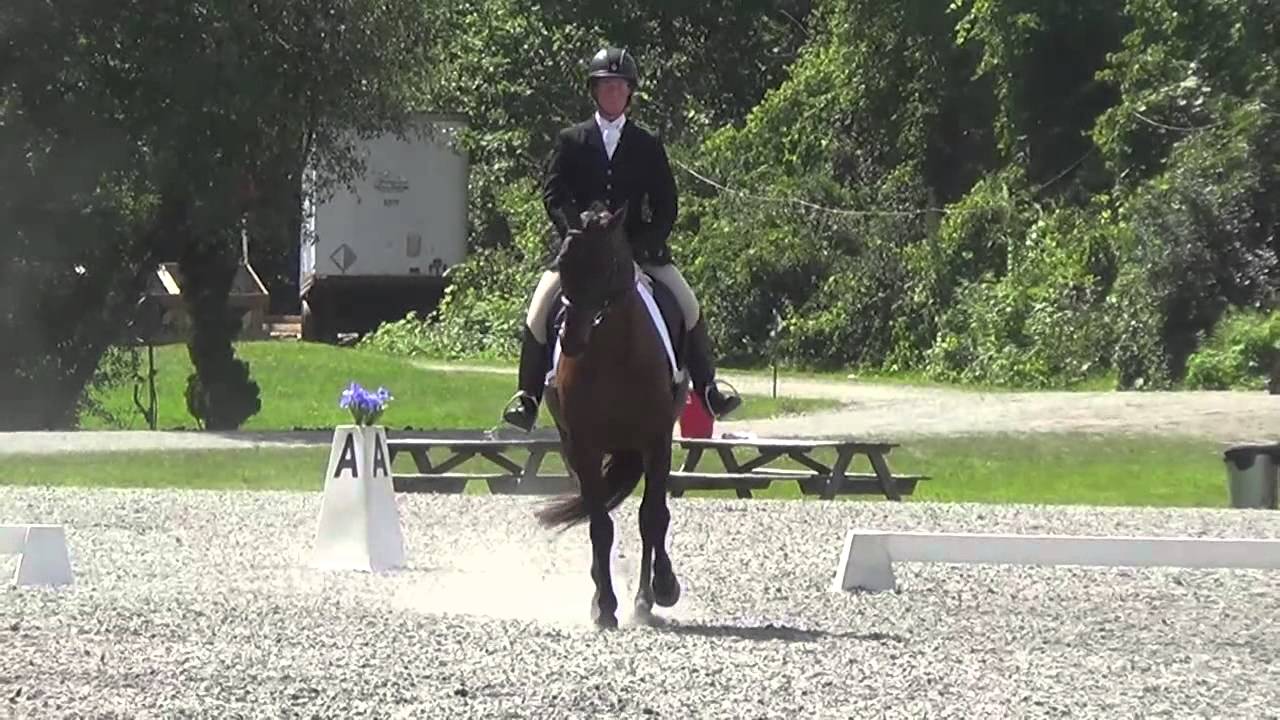 Alison Eastman-Lawler & Otto Rocket at GMHA Horse Trials 2014