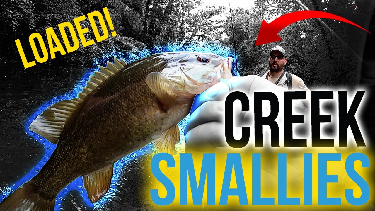 Fishing a Creek LOADED with Smallmouth Bass! - Cuyahoga River Ohio