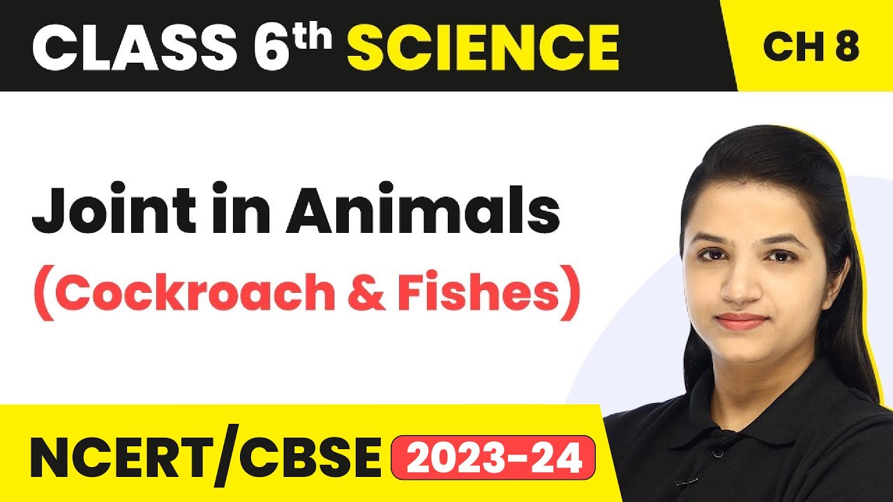 Class 6 Science Chapter 8 | Body Movements - Joint in Animals (Cockroach & Fishes)