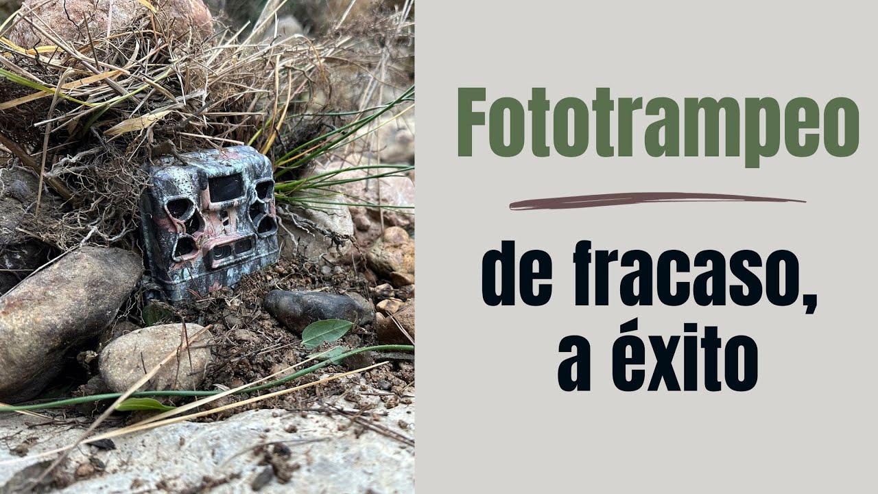 Fototrampeo. Cómo conseguir pasar del fracaso al éxito en tus montajes con cámara trampa.