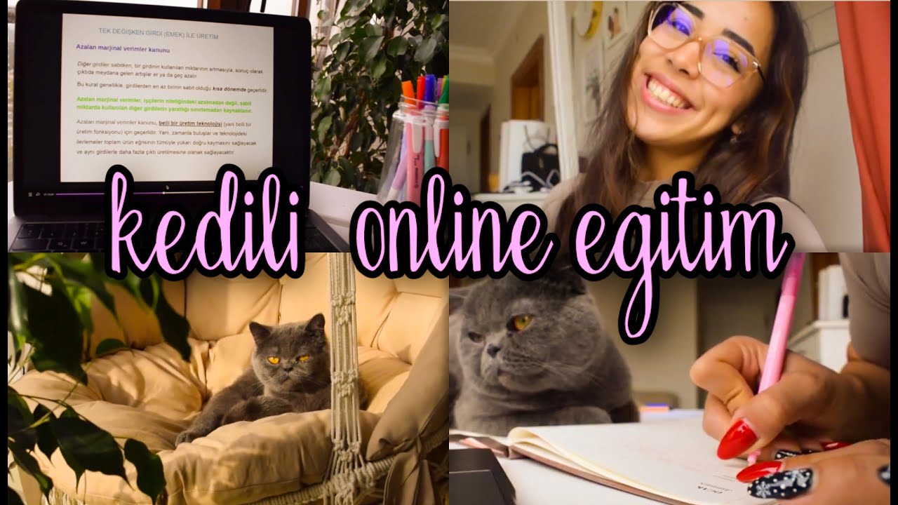 Online Eğitim Vlog 📝🐱l Online Eğitimde Hem Okul Hem İş Bir Arada Nasıl Oluyor ?