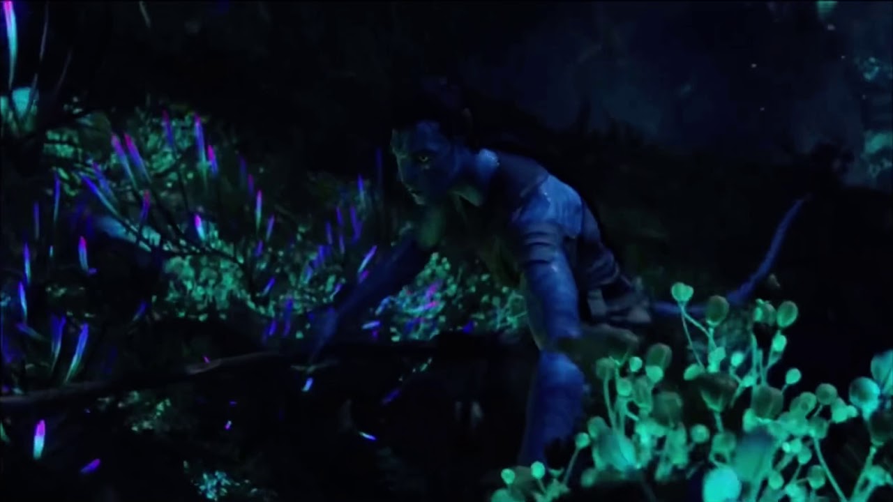 Avatar Night (bioluminescent plants)