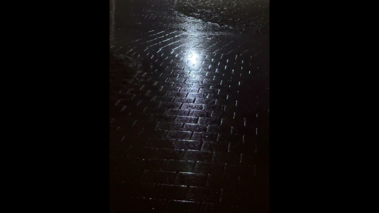 Ekroid - Bleed the same Rain