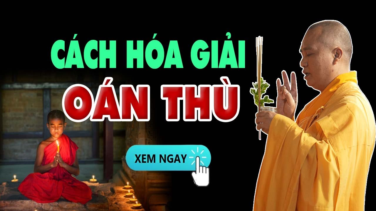Cách Giải Trừ Oán Thù, Oan Gia Trái Chủ  - Thầy Thích Đạo Thịnh (XEM NGAY)