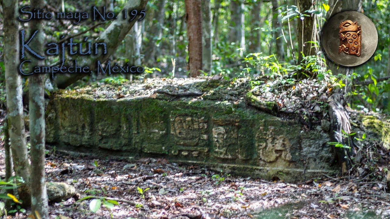 Sitio maya No. 195. Kajtún, Campeche, México