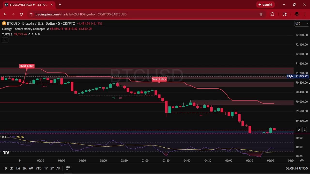 Bitcoin Chart LIVE BTC with RSI and BUY SELL Signals Indicators Trading Graph Crypto Market