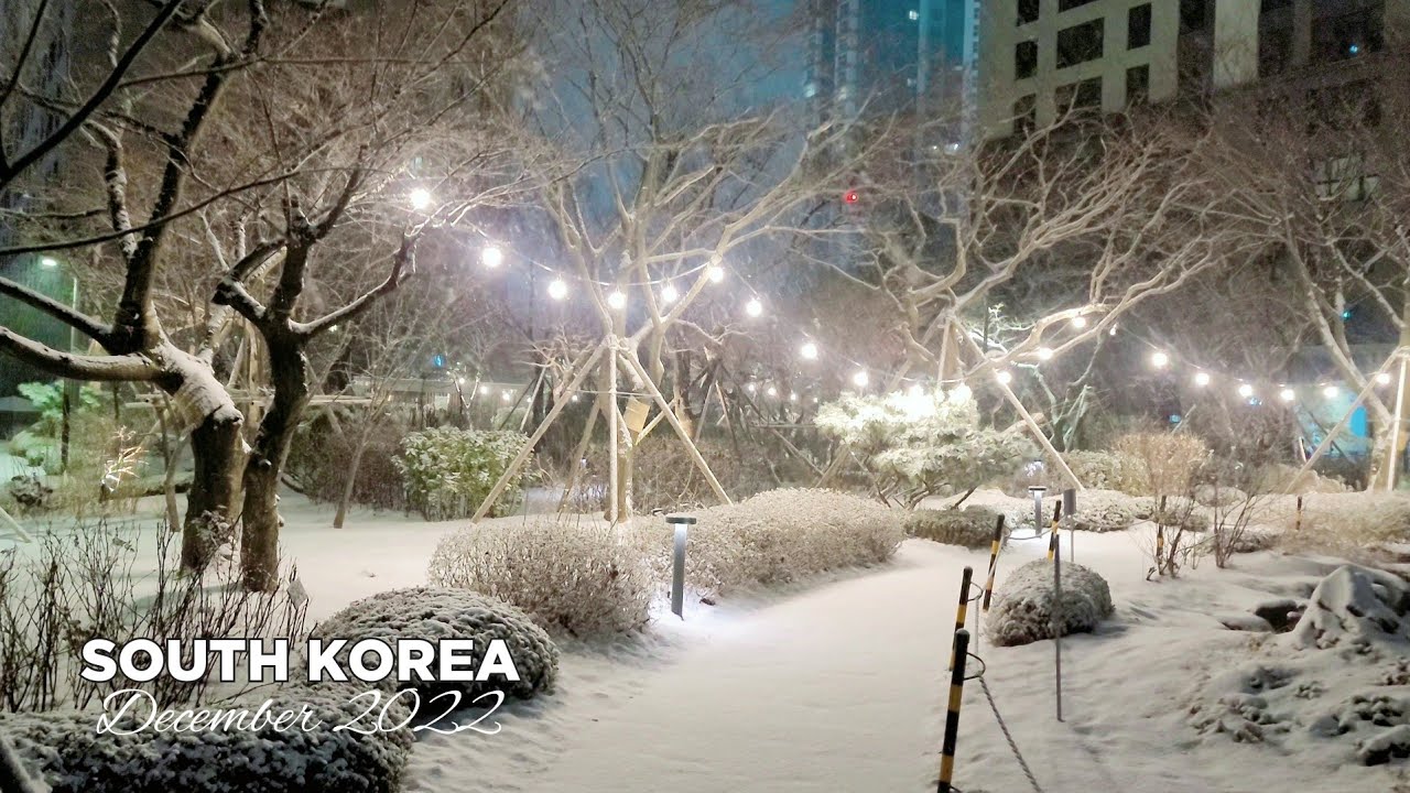 𝗦𝗢𝗨𝗧𝗛 𝗞𝗢𝗥𝗘𝗔 Early morning Snowfall 5.50a.m Dec.21- Goyang city Ilsan Kintex