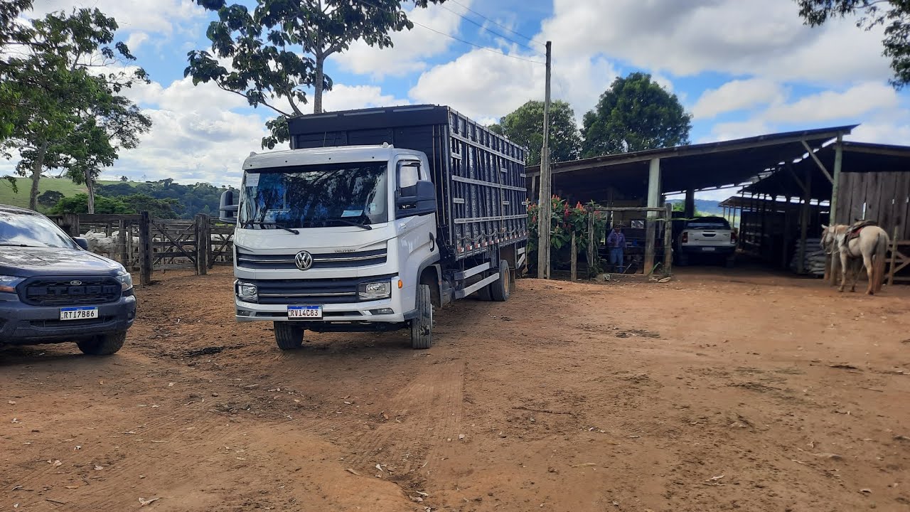 Viagem a Carlos Chagas, capital do boi + Quase 600km.🤠🤠🤠
