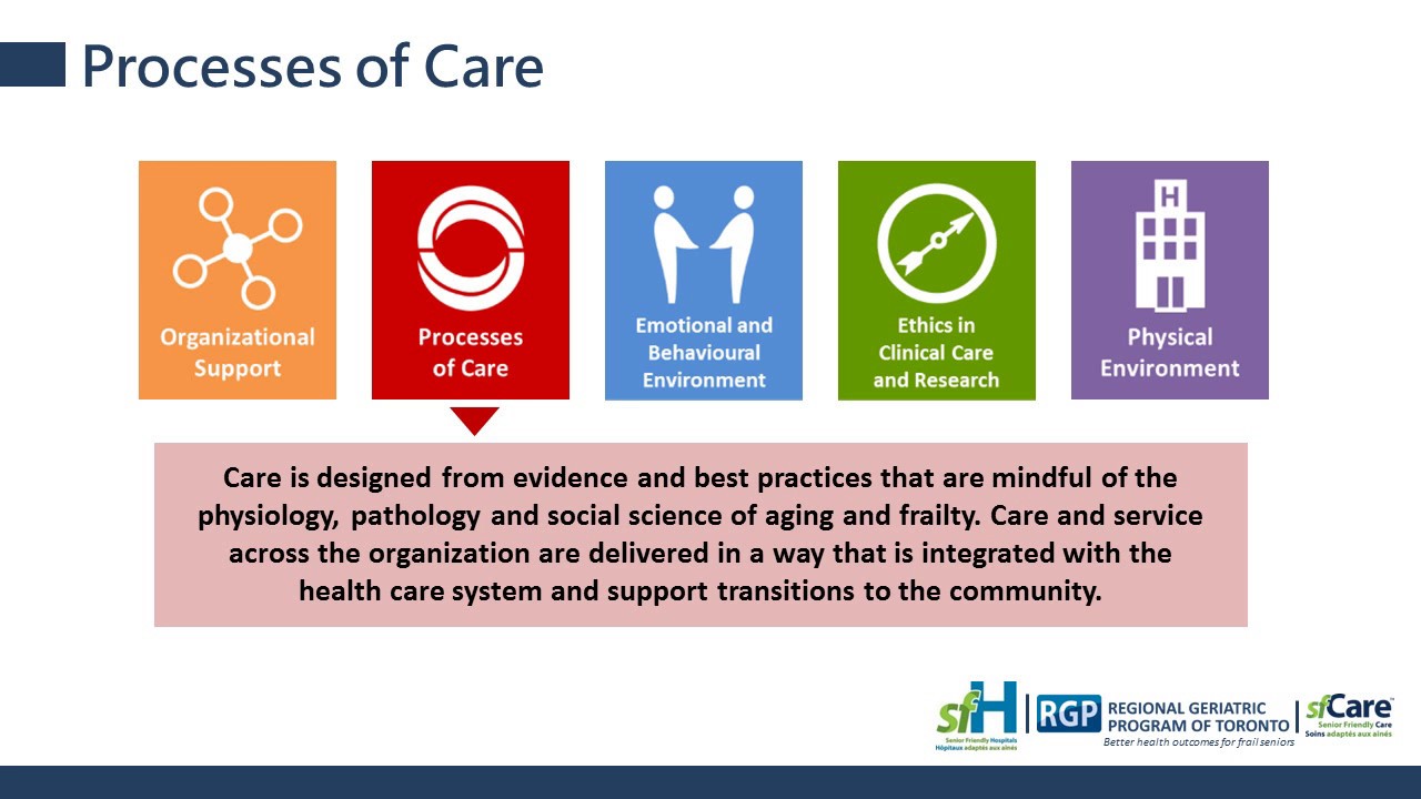The Senior Friendly Hospital Framework: A foundation for providing senior friendly care