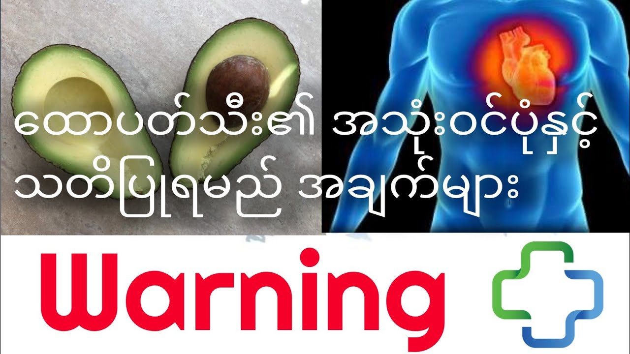 ထောပတ်သီး၏ အသုံးဝင်ပုံနှင့် သတိပြုရမည့် အချက်များ