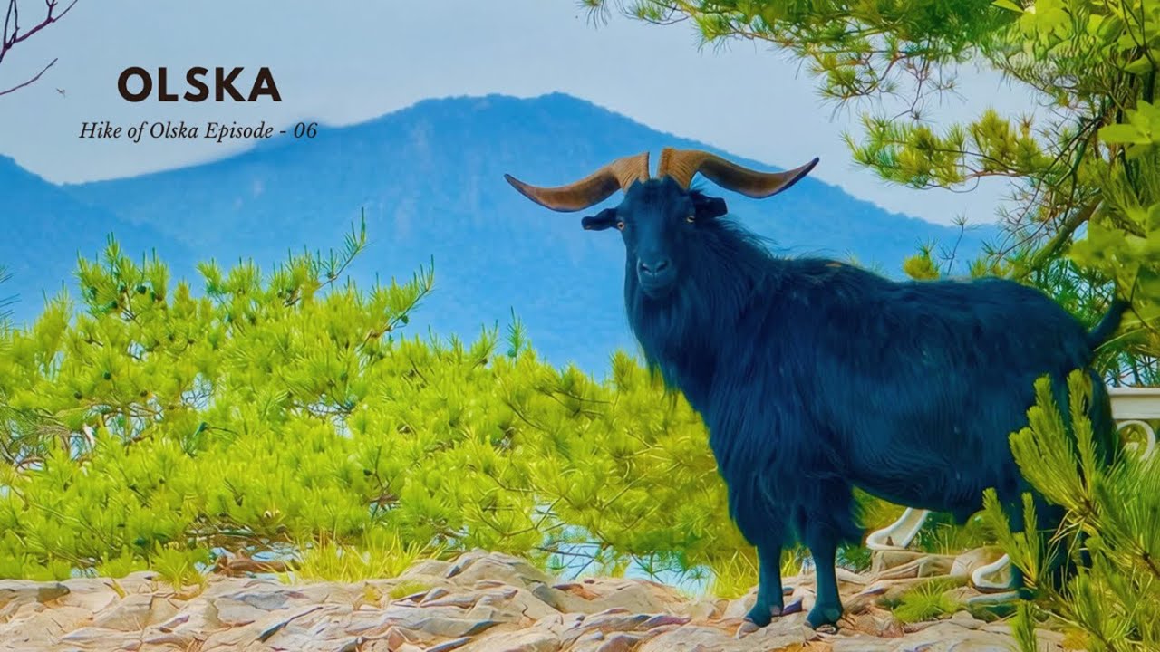 SOLO HIKE to Munboksan Mountain where goats roam || Silent hiking [Episode - 06]