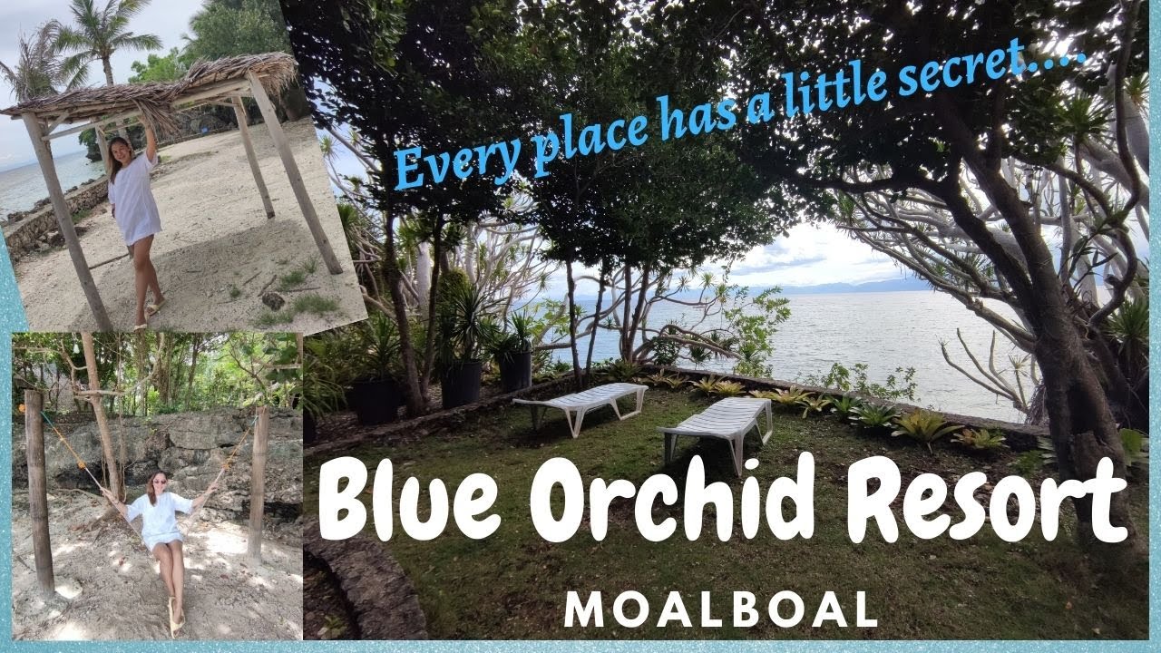 BLUE ORCHID RESORT MOALBOAL / MOALBOAL CEBU / BEACH RESORT