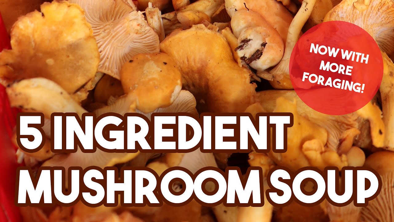 Five Ingredient Mushroom Soup with Foraged Chanterelles