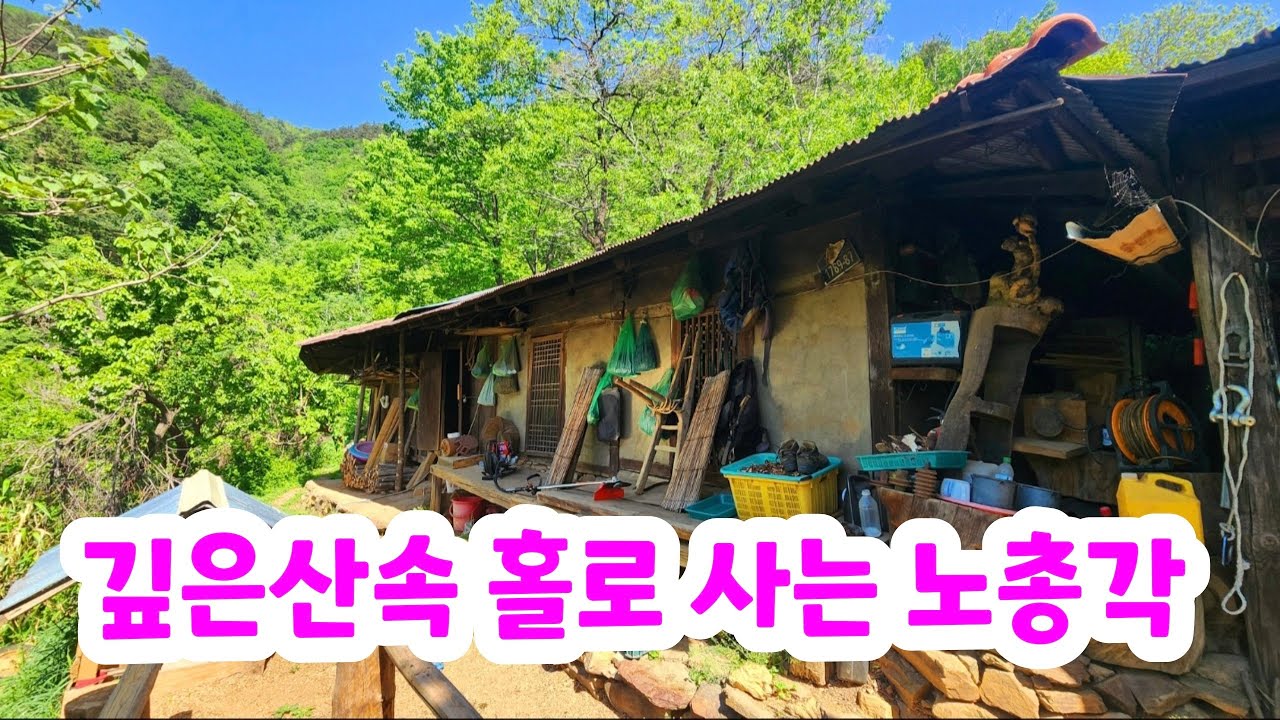 깊은산속 에 홀로사는 노총각 자연인