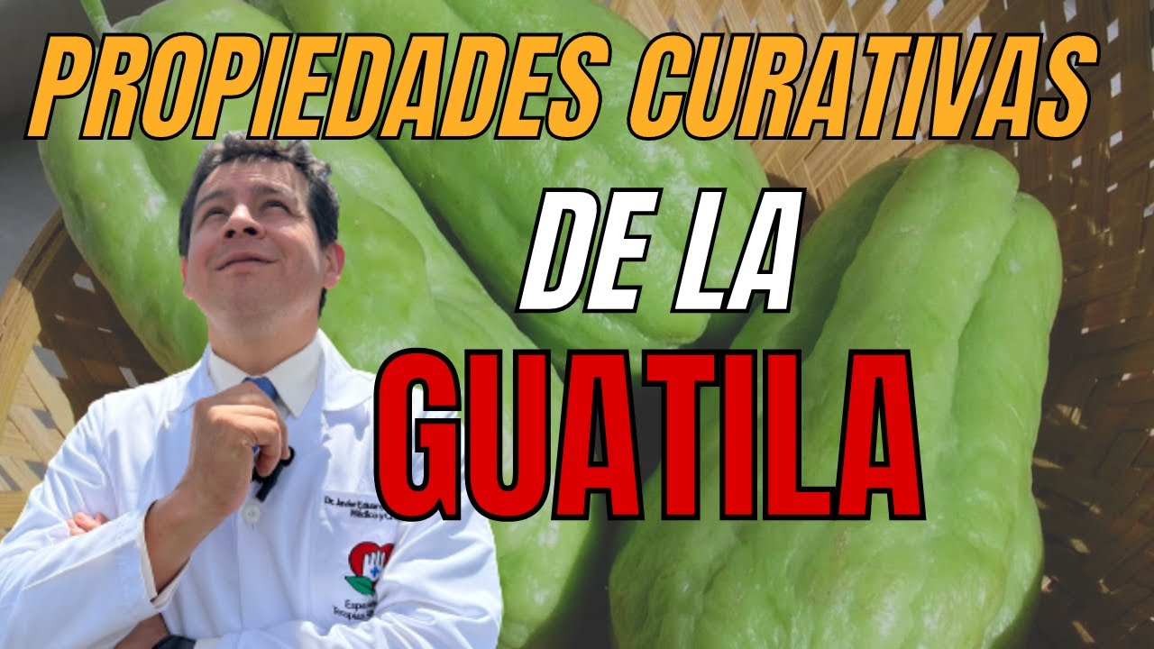 Guatila o chayote  sus propiedades curativas  Dr javier E Moreno