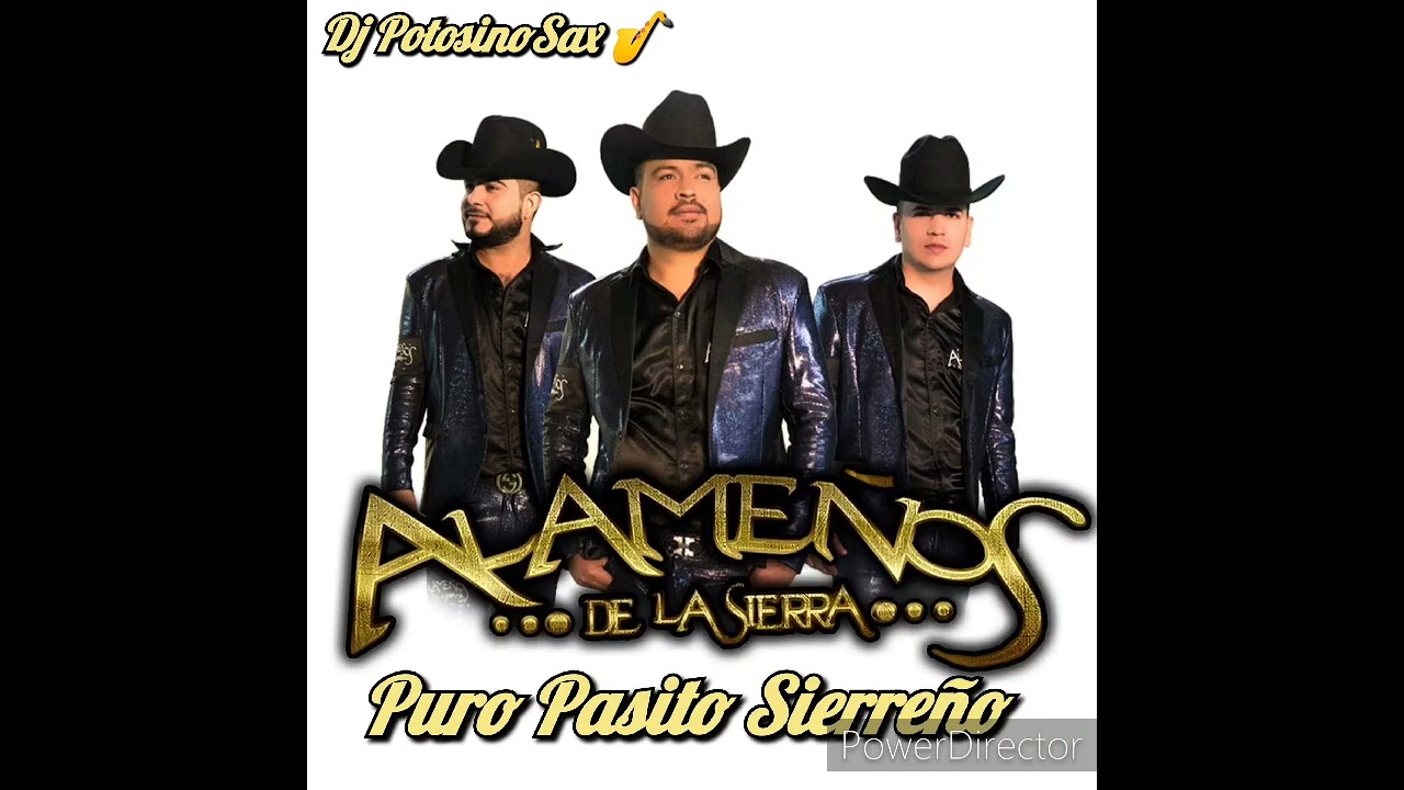 Los Alameños De La Sierra /Mix Puro Pasito Sierreño 2023/Dj PotosinoSax 🎷