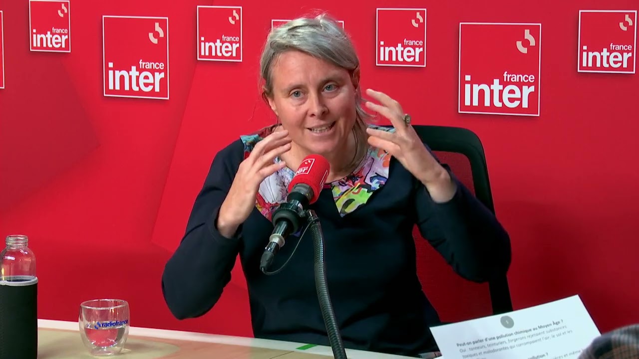 L'hygiène dans le Paris du Moyen-âge  - La terre au carré