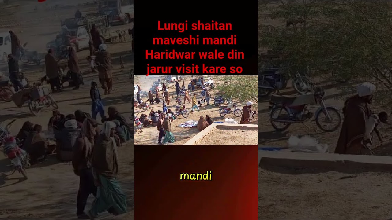 MandiVlog, 