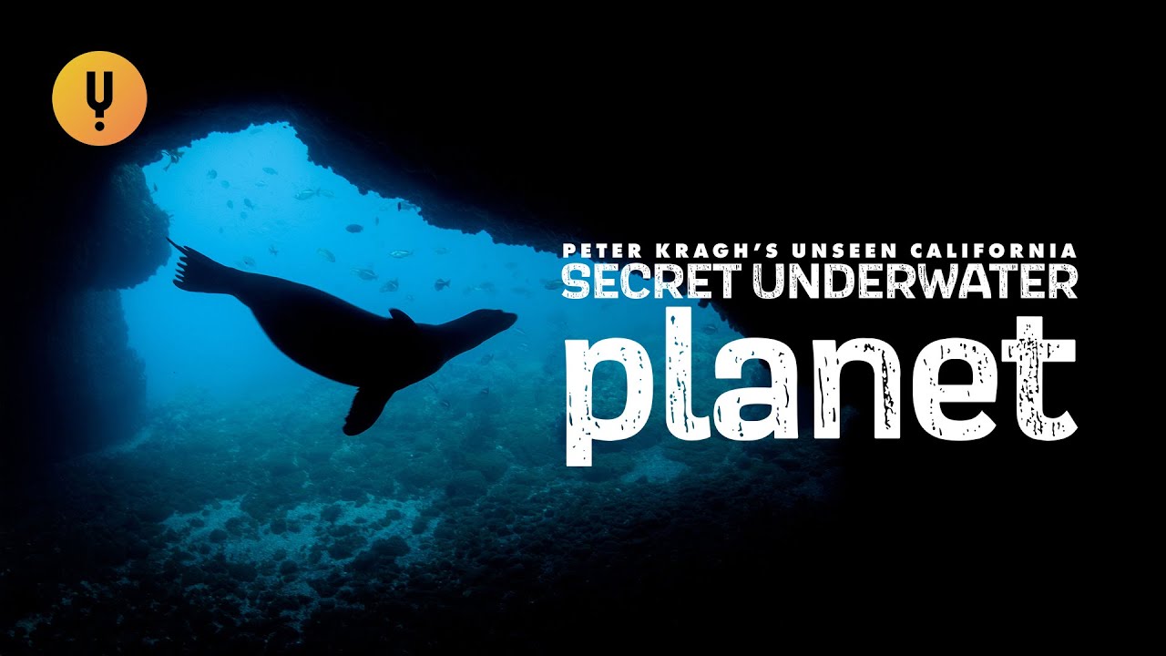 The Secret Underwater Planet off the California Coast