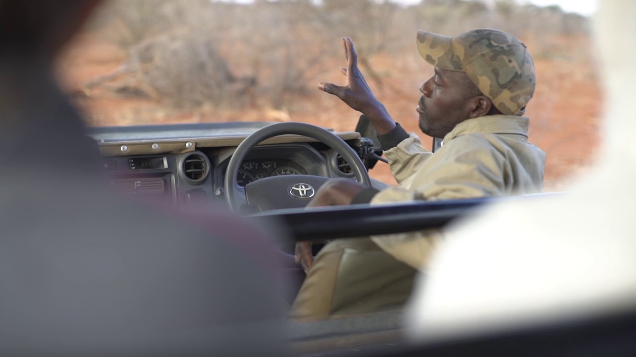 Madikwe