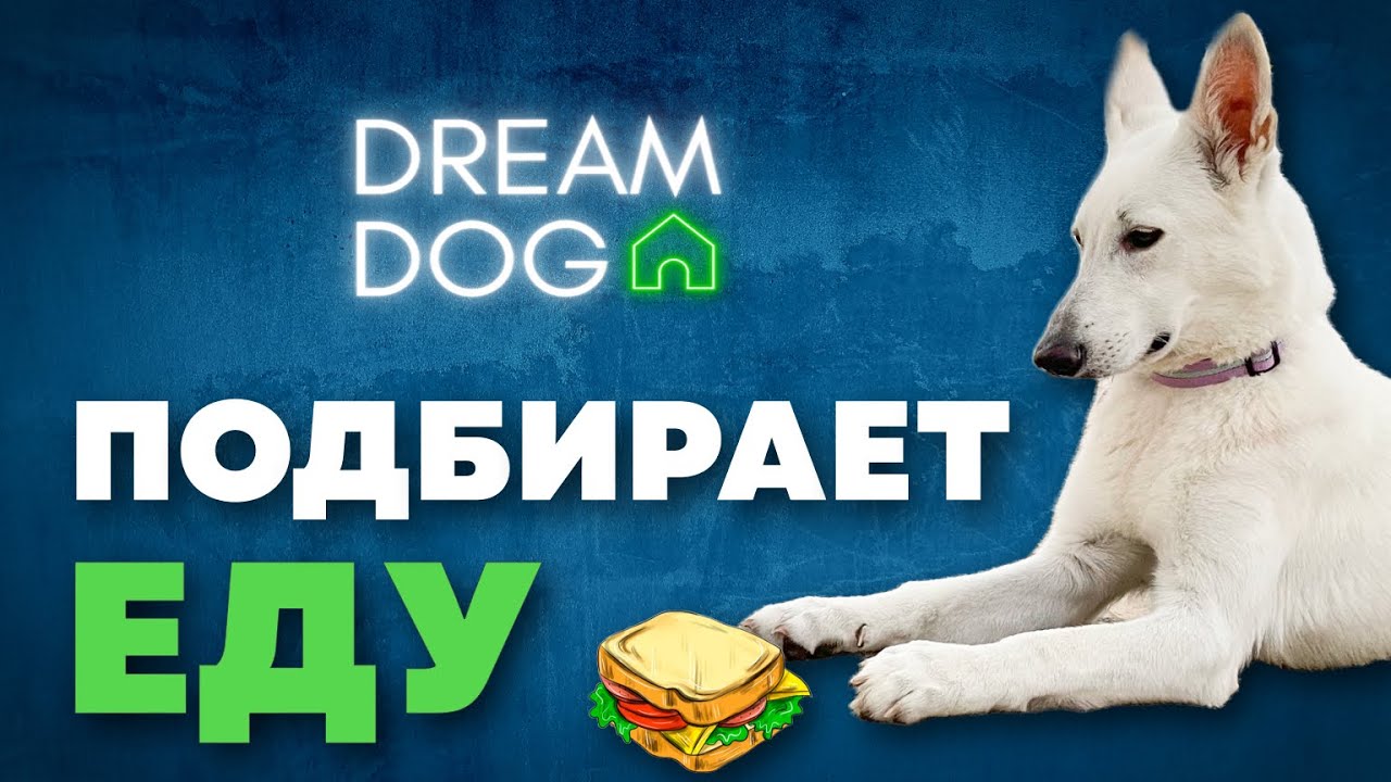 Как отучить собаку подбирать с пола 🐶 Метод без отвлечения