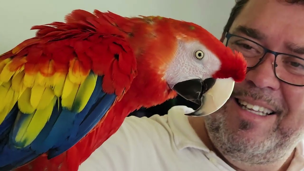Bienvenue chez Nature Sauvage, Ep 01 Ara Macao